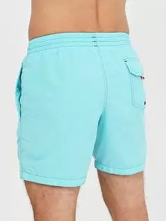 Пляжные шорты с сетчатой подкладкой голубого цвета Allen Cox 278303cacqua распродажа